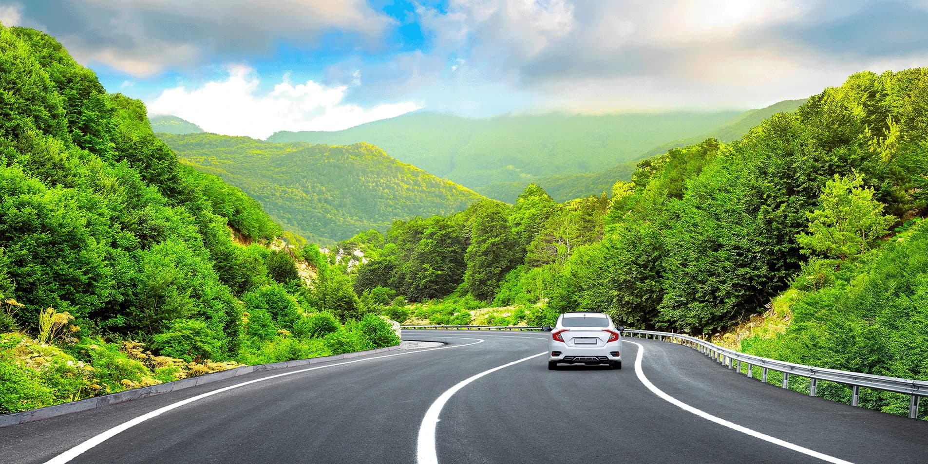 Sample International Driver's Document